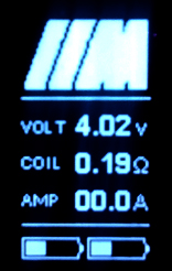 Screenshot of BMW //M Firmware