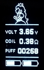 Screenshot of Princess Peach Firmware