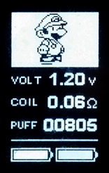Screenshot of Super Mario Firmware