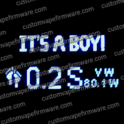 Screenshot of It's a Boy! Firmware