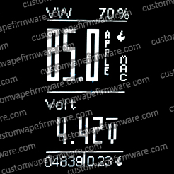 Screenshot of Apple Firmware